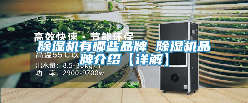 草莓污视频在线看有哪些品牌 草莓污视频在线看品牌介紹【詳解】