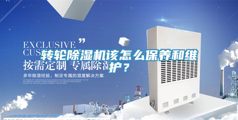 轉輪草莓污视频在线看該怎麽保養和維護？