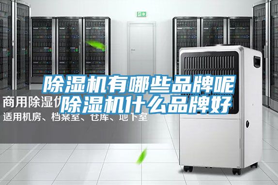 草莓污视频在线看有哪些品牌呢 草莓污视频在线看什麽品牌好