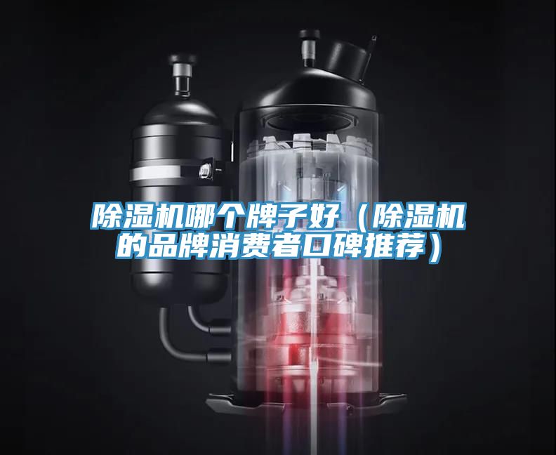 草莓污视频在线看哪個牌子好（草莓污视频在线看的品牌消費者口碑推薦）