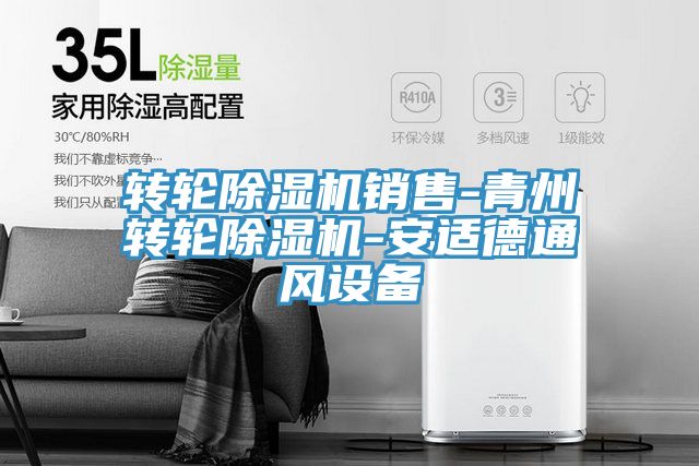 轉輪草莓污视频在线看銷售-青州轉輪草莓污视频在线看-安適德通風設備