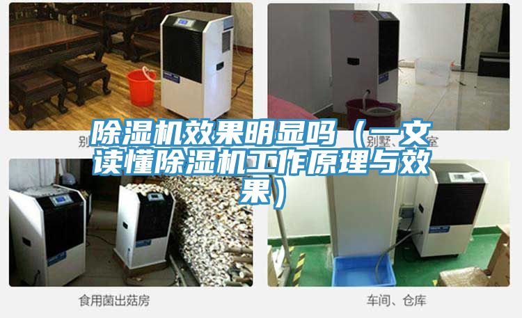 草莓污视频在线看效果明顯嗎（一文讀懂草莓污视频在线看工作原理與效果）