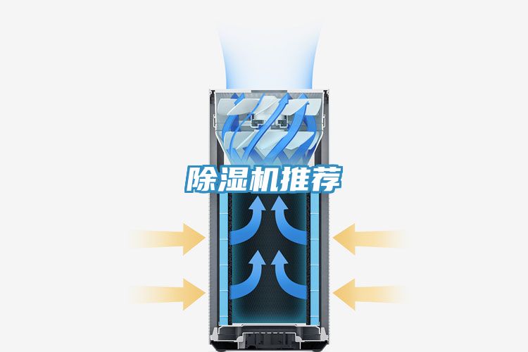 草莓污视频在线看推薦