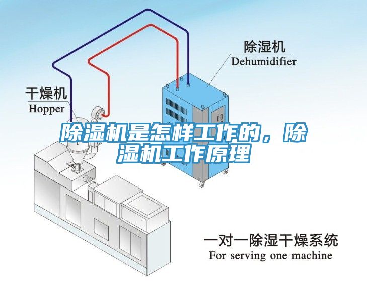 草莓污视频在线看是怎樣工作的，草莓污视频在线看工作原理