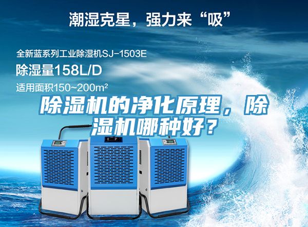 草莓污视频在线看的淨化原理，草莓污视频在线看哪種好？