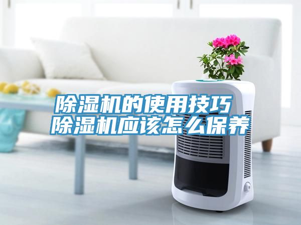 草莓污视频在线看的使用技巧 草莓污视频在线看應該怎麽保養