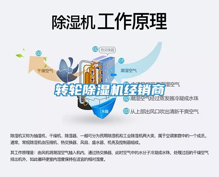 轉輪草莓污视频在线看經銷商