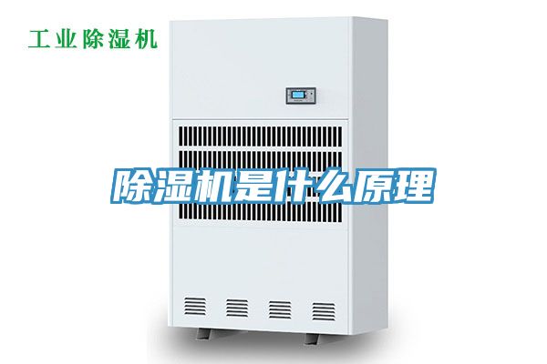 草莓污视频在线看是什麽原理