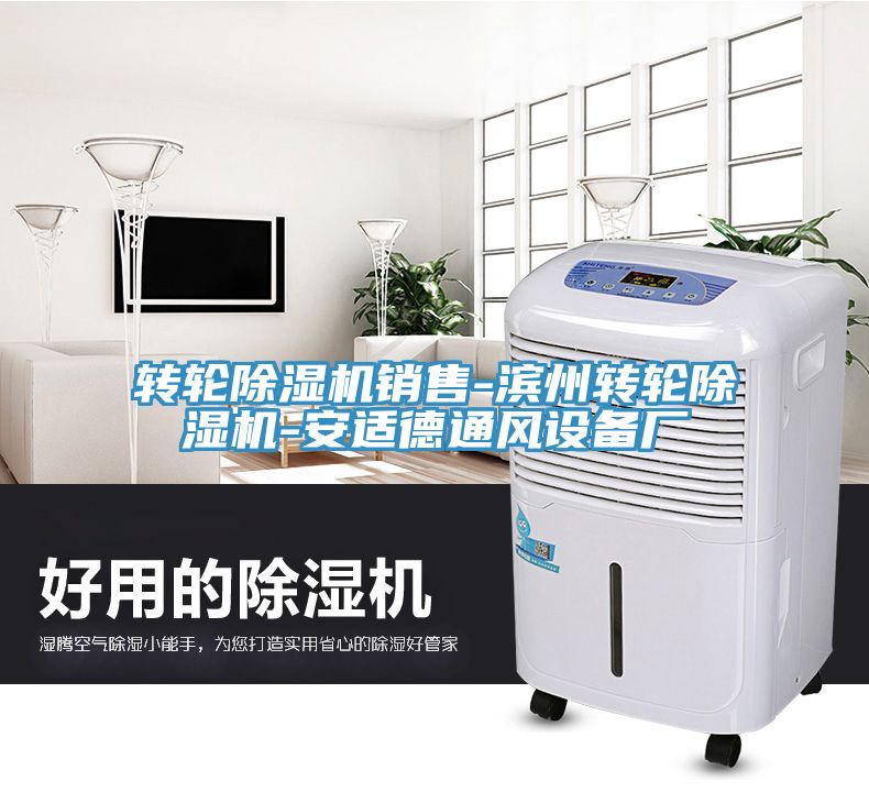 轉輪草莓污视频在线看銷售-濱州轉輪草莓污视频在线看-安適德通風設備廠