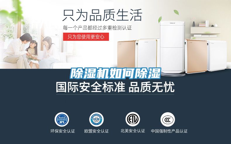 草莓污视频在线看如何除濕