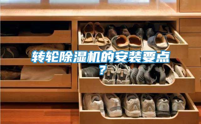 轉輪草莓污视频在线看的安裝要點？