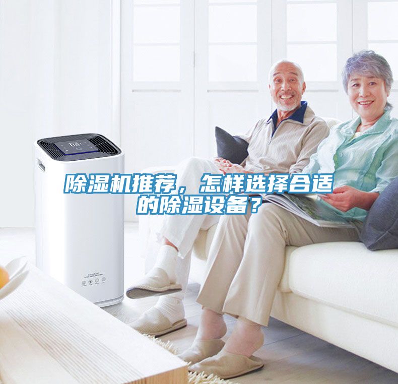 草莓污视频在线看推薦，怎樣選擇合適的除濕設備？
