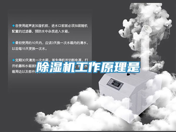 草莓污视频在线看工作原理是