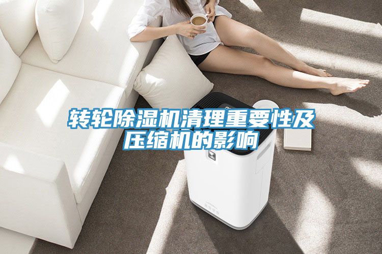 轉輪草莓污视频在线看清理重要性及壓縮機的影響