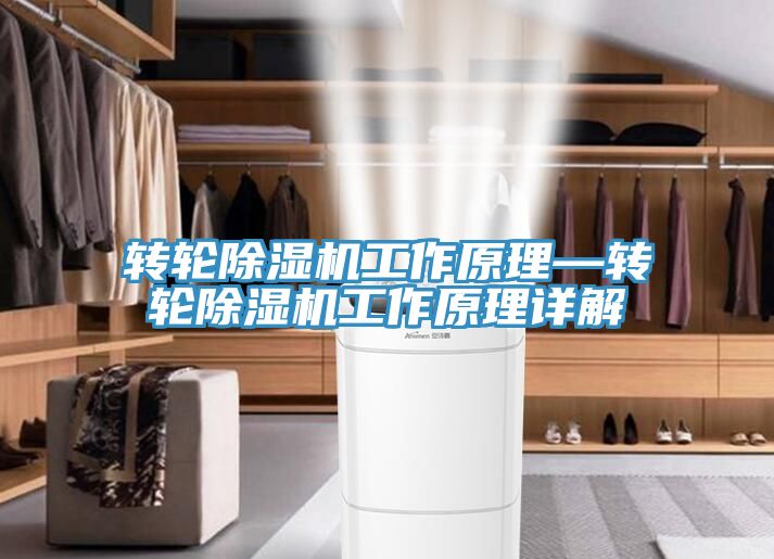 轉輪草莓污视频在线看工作原理—轉輪草莓污视频在线看工作原理詳解