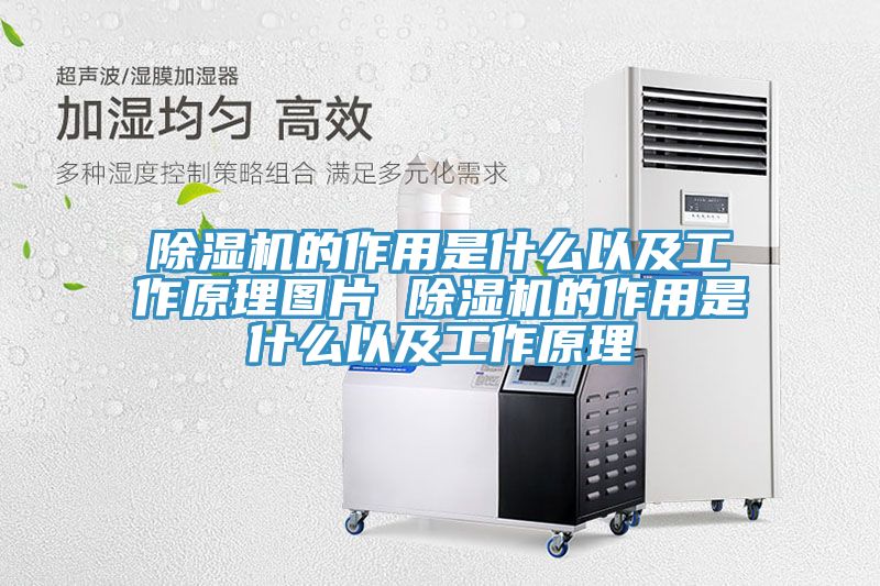 草莓污视频在线看的作用是什麽以及工作原理圖片 草莓污视频在线看的作用是什麽以及工作原理