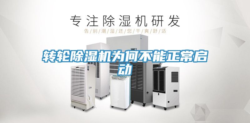 轉輪草莓污视频在线看為何不能正常啟動
