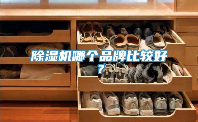 草莓污视频在线看哪個品牌比較好？