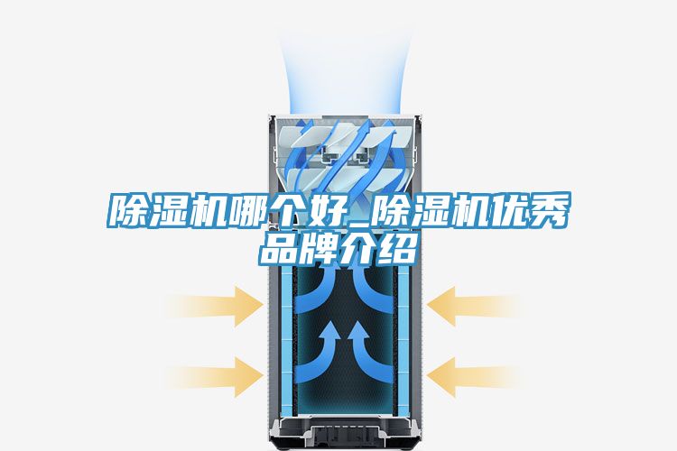 草莓污视频在线看哪個好_草莓污视频在线看優秀品牌介紹