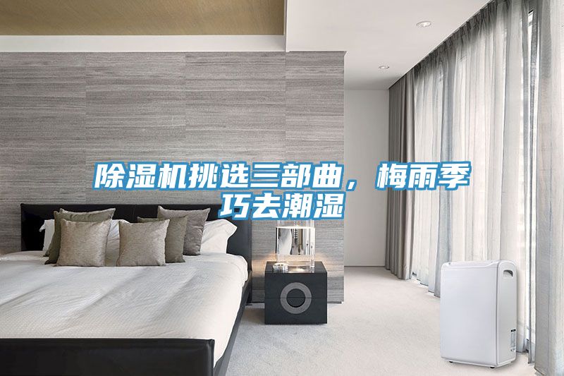 草莓污视频在线看挑選三部曲，梅雨季巧去潮濕