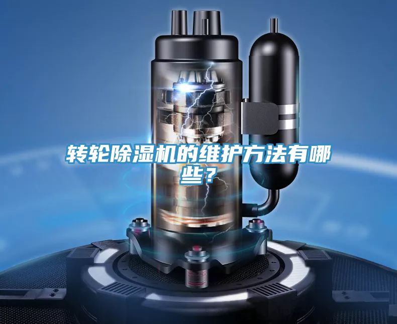 轉輪草莓污视频在线看的維護方法有哪些？