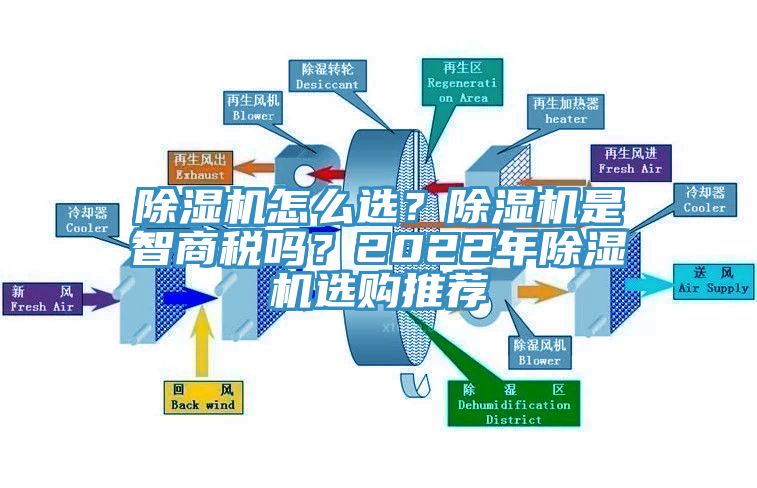 草莓污视频在线看怎麽選？草莓污视频在线看是智商稅嗎？2022年草莓污视频在线看選購推薦