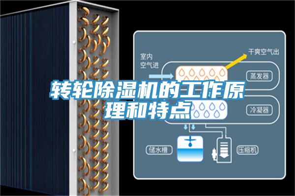 轉輪草莓污视频在线看的工作原理和特點