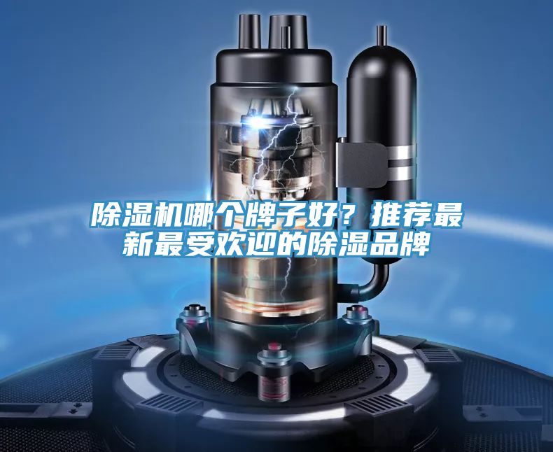 草莓污视频在线看哪個牌子好？推薦最新最受歡迎的除濕品牌
