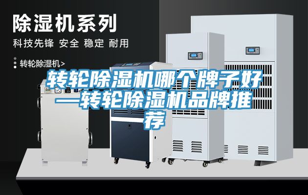 轉輪草莓污视频在线看哪個牌子好—轉輪草莓污视频在线看品牌推薦