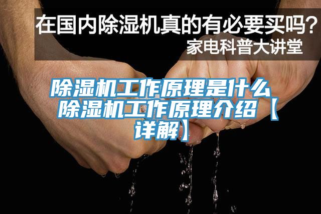草莓污视频在线看工作原理是什麽 草莓污视频在线看工作原理介紹【詳解】