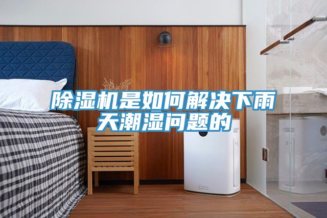 草莓污视频在线看是如何解決下雨天潮濕問題的