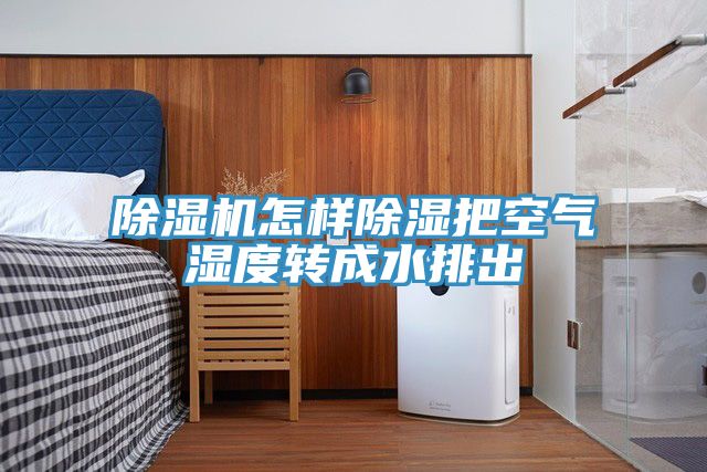 草莓污视频在线看怎樣除濕把空氣濕度轉成水排出