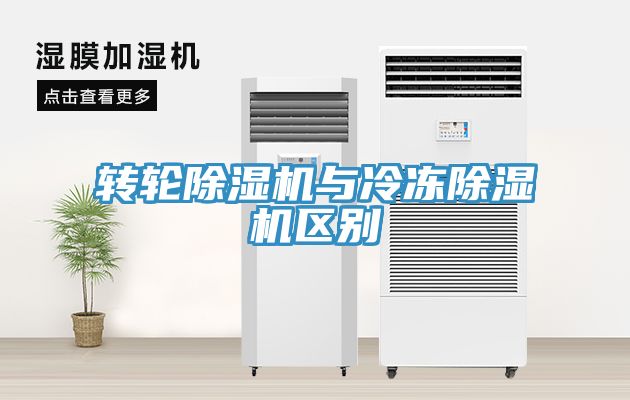 轉輪草莓污视频在线看與冷凍草莓污视频在线看區別