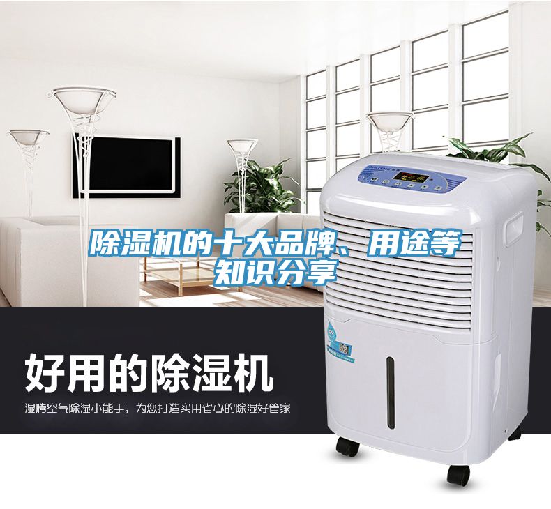 草莓污视频在线看的十大品牌、用途等知識分享