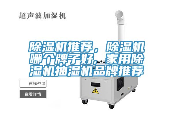 草莓污视频在线看推薦，草莓污视频在线看哪個牌子好, 家用草莓污视频在线看抽濕機品牌推薦