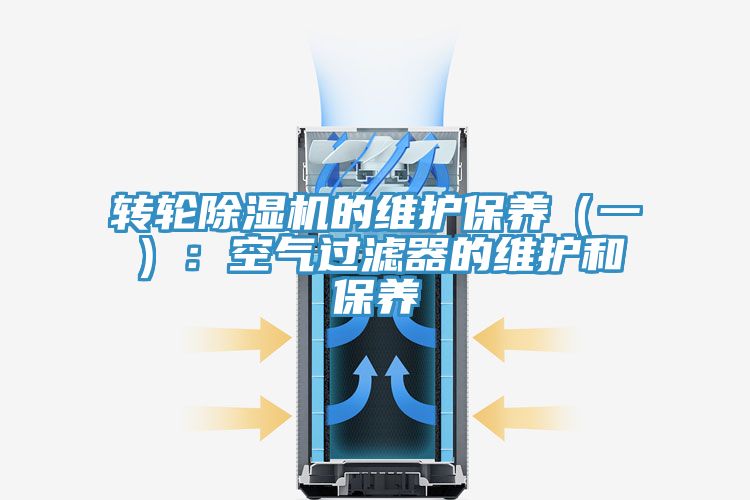 轉輪草莓污视频在线看的維護保養（一）：空氣過濾器的維護和保養