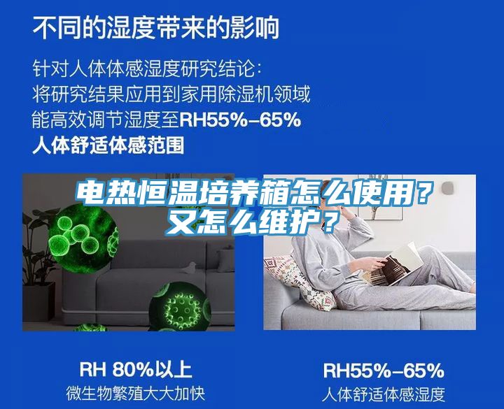 電熱恒溫培養箱怎麽使用？又怎麽維護？
