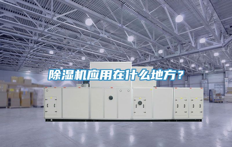 草莓污视频在线看應用在什麽地方？