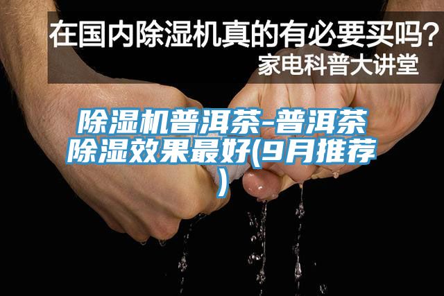 草莓污视频在线看普洱茶-普洱茶除濕效果最好(9月推薦)