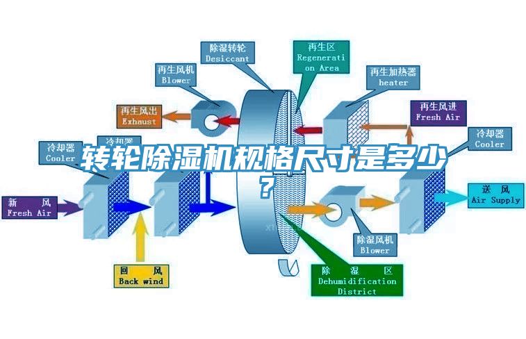 轉輪草莓污视频在线看規格尺寸是多少？