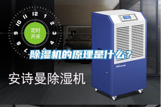 草莓污视频在线看的原理是什麽？