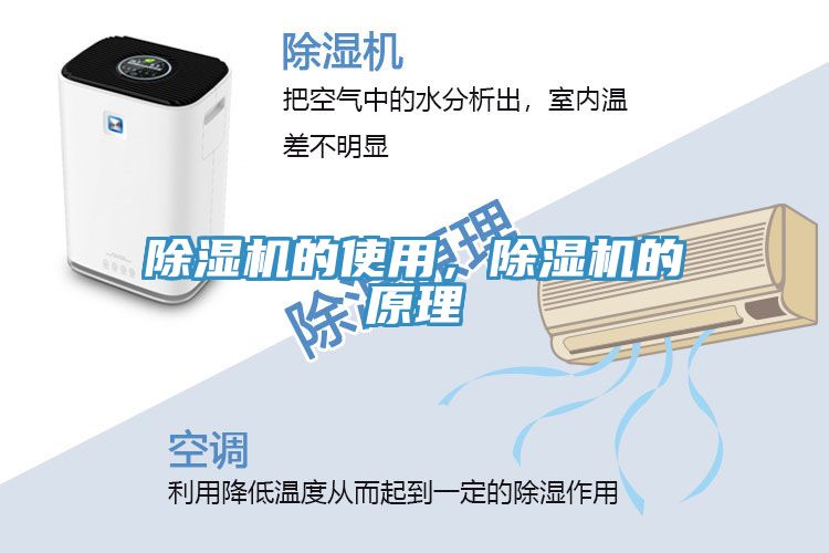 草莓污视频在线看的使用，草莓污视频在线看的原理