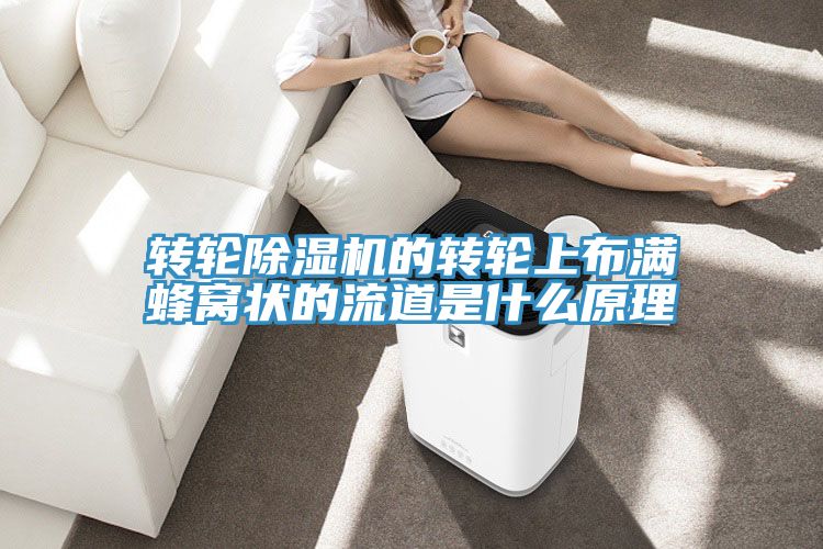 轉輪草莓污视频在线看的轉輪上布滿蜂窩狀的流道是什麽原理