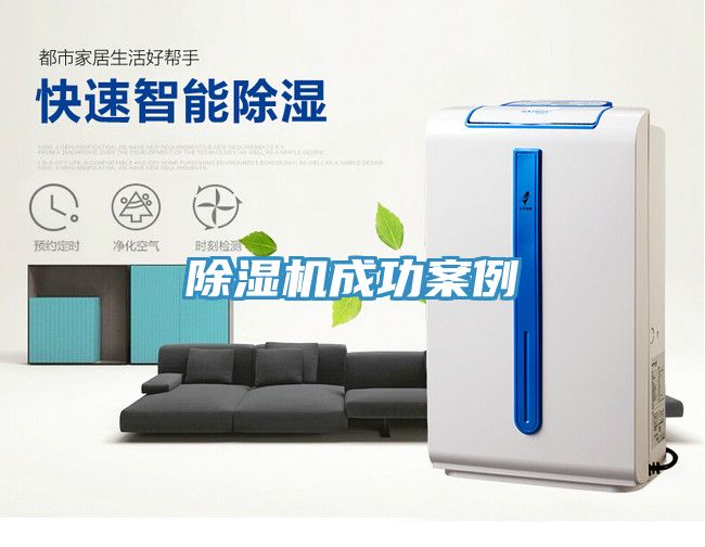 草莓污视频在线看成功案例