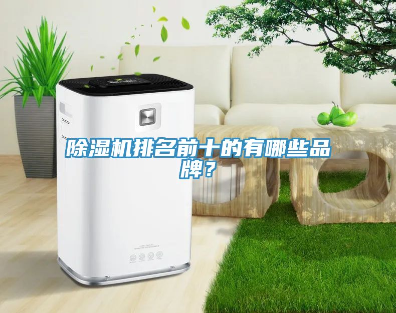 草莓污视频在线看排名前十的有哪些品牌？