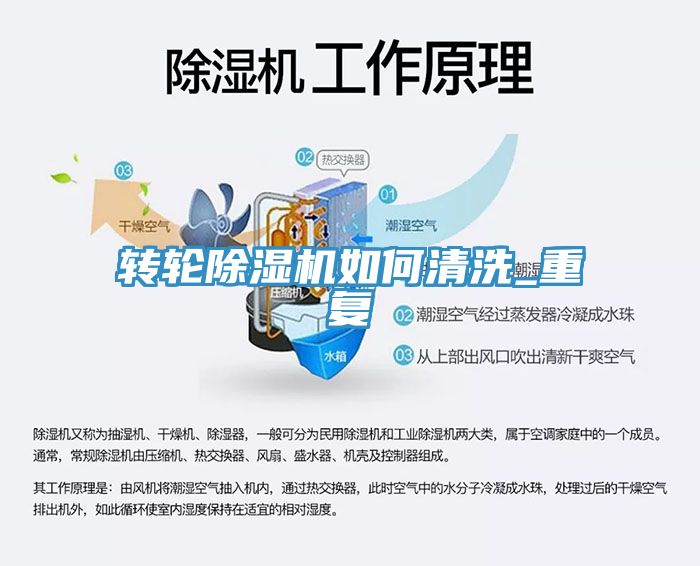 轉輪草莓污视频在线看如何清洗_重複