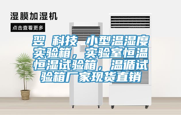 翌昇科技 小型溫濕度實驗箱，實驗室恒溫恒濕試驗箱，溫循試驗箱廠家現貨直銷