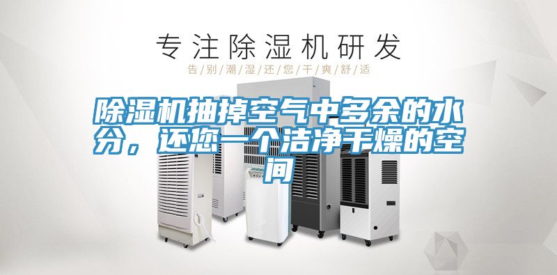 草莓污视频在线看抽掉空氣中多餘的水分，還您一個潔淨幹燥的空間