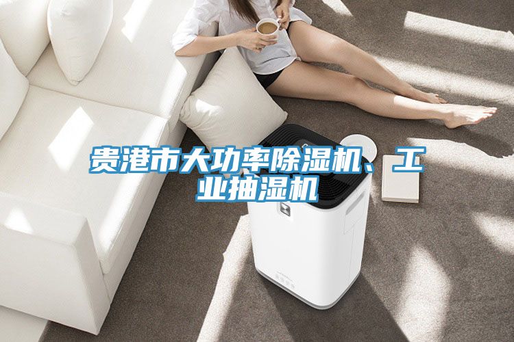 貴港市大功率草莓污视频在线看、工業抽濕機