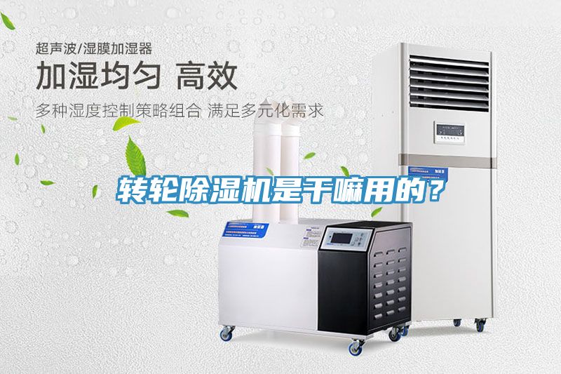轉輪草莓污视频在线看是幹嘛用的？